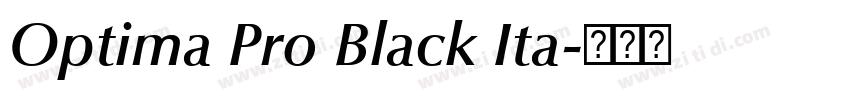 Optima Pro Black Ita字体转换